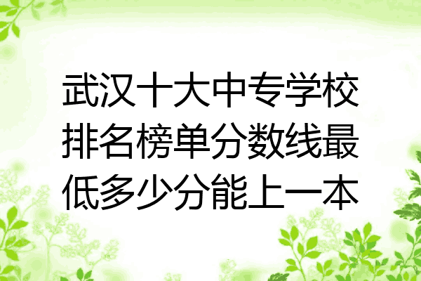 武汉十大中专学校排名榜单分数线最低多少分能上一本