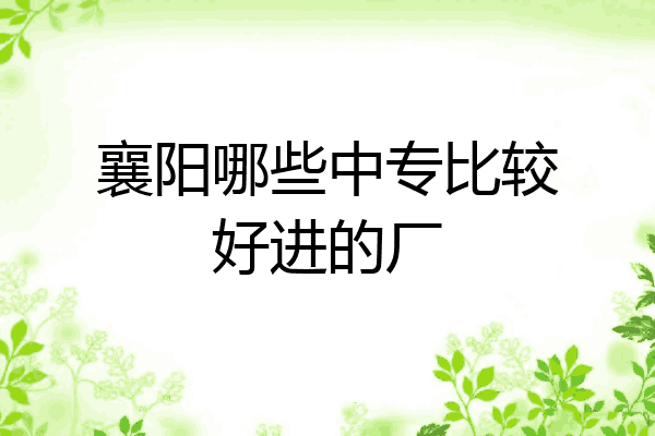 襄阳哪些中专比较好进的厂