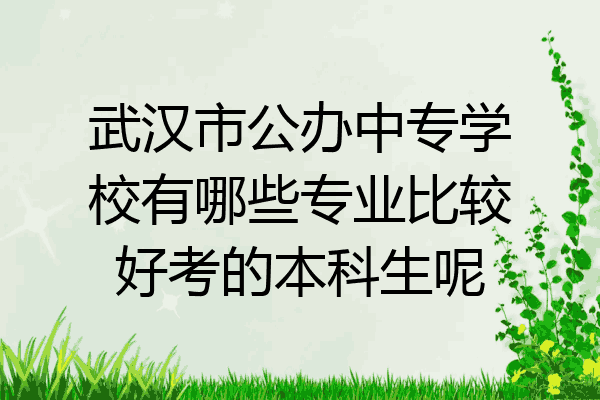 武汉市公办中专学校有哪些专业比较好考的本科生呢
