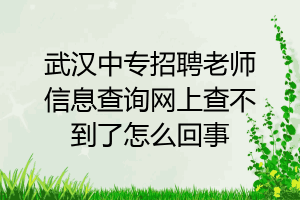 武汉中专招聘老师信息查询网上查不到了怎么回事