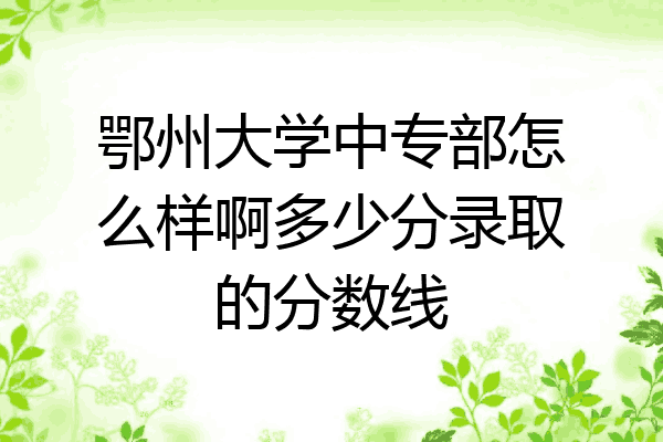 鄂州大学中专部怎么样啊多少分录取的分数线