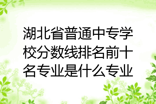 湖北省普通中专学校分数线排名前十名专业是什么专业
