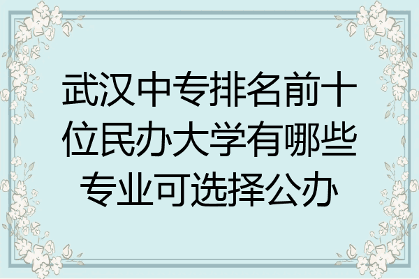 武汉中专排名前十位民办大学有哪些专业可选择公办