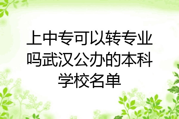 上中专可以转专业吗武汉公办的本科学校名单