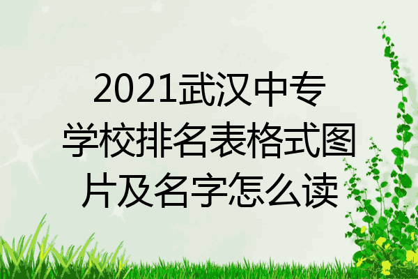 2021武汉中专学校排名表格式图片及名字怎么读