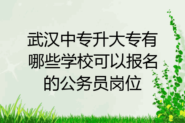 武汉中专升大专有哪些学校可以报名的公务员岗位