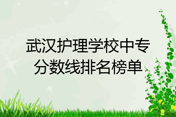 武汉护理学校中专分数线排名榜单