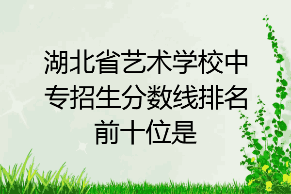 湖北省艺术学校中专招生分数线排名前十位是