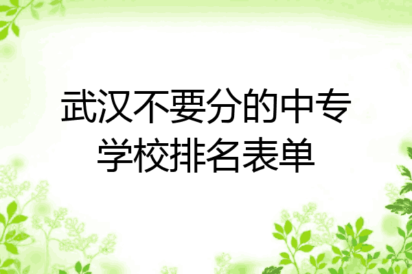 武汉不要分的中专学校排名表单