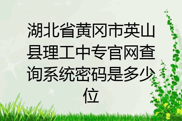 湖北省黄冈市英山县理工中专官网查询系统密码是多少位