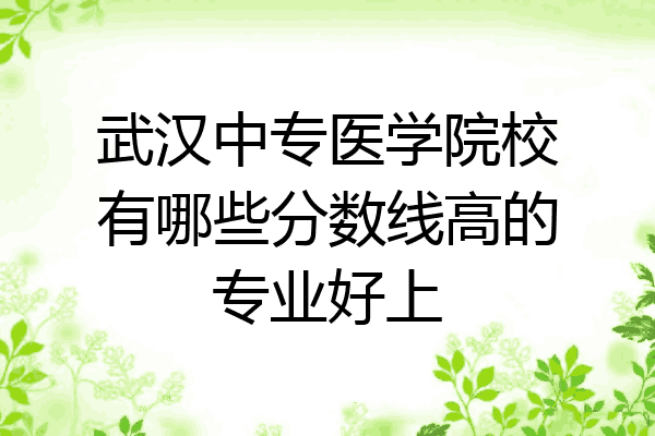武汉中专医学院校有哪些分数线高的专业好上