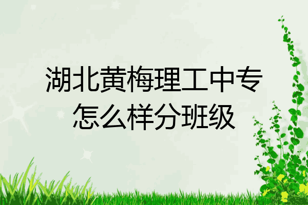 湖北黄梅理工中专怎么样分班级