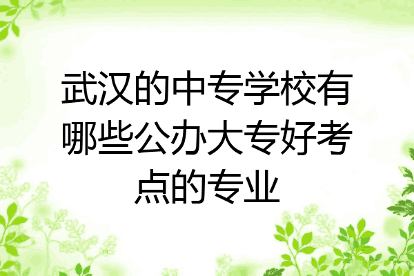 武汉的中专学校有哪些公办大专好考点的专业