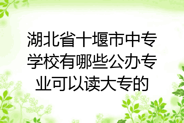 湖北省十堰市中专学校有哪些公办专业可以读大专的