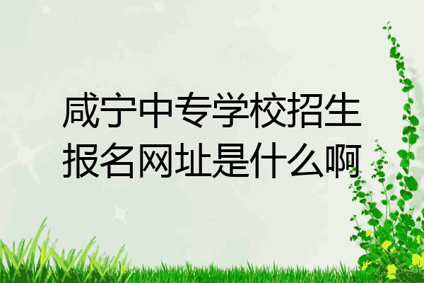 咸宁中专学校招生报名网址是什么啊