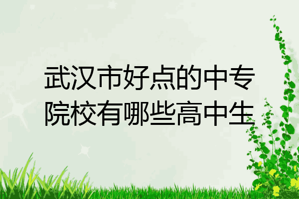 武汉市好点的中专院校有哪些高中生