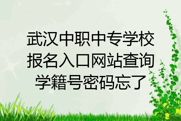 武汉中职中专学校报名入口网站查询学籍号密码忘了