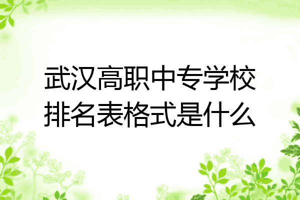 武汉高职中专学校排名表格式是什么