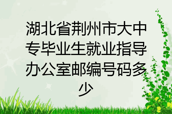 湖北省荆州市大中专毕业生就业指导办公室邮编号码多少