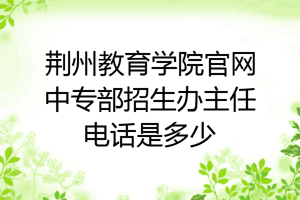 荆州教育学院官网中专部招生办主任电话是多少