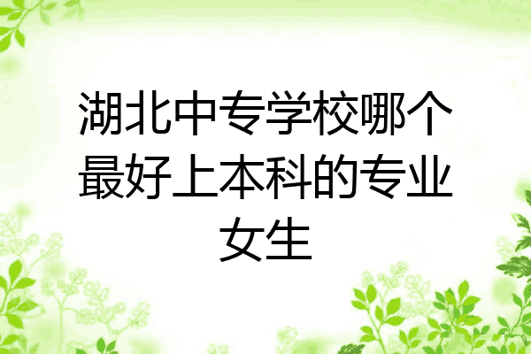湖北中专学校哪个最好上本科的专业女生