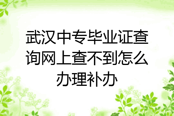 武汉中专毕业证查询网上查不到怎么办理补办