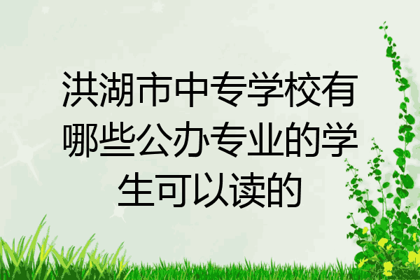 洪湖市中专学校有哪些公办专业的学生可以读的