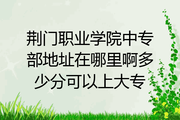 荆门职业学院中专部地址在哪里啊多少分可以上大专
