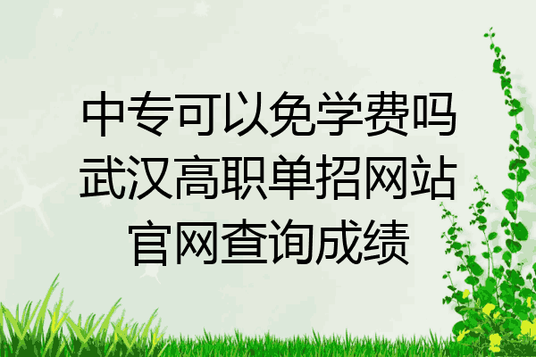 中专可以免学费吗武汉高职单招网站官网查询成绩