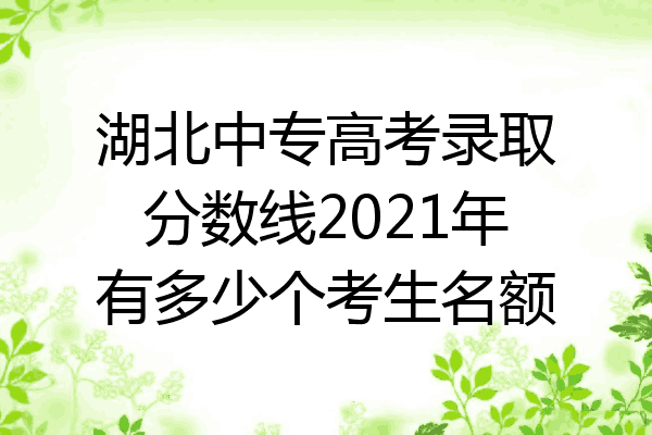 湖北中专高考录取分数线2021年有多少个考生名额