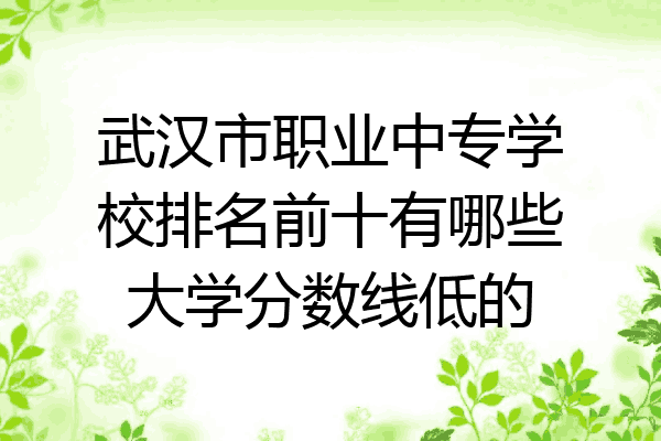 武汉市职业中专学校排名前十有哪些大学分数线低的
