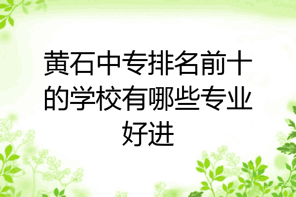 黄石中专排名前十的学校有哪些专业好进