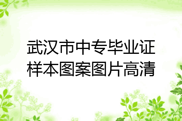 武汉市中专毕业证样本图案图片高清