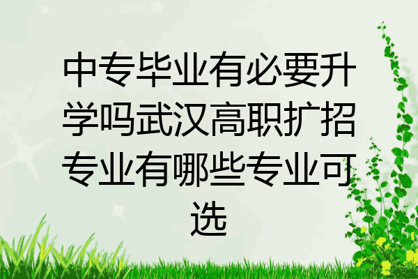 中专毕业有必要升学吗武汉高职扩招专业有哪些专业可选