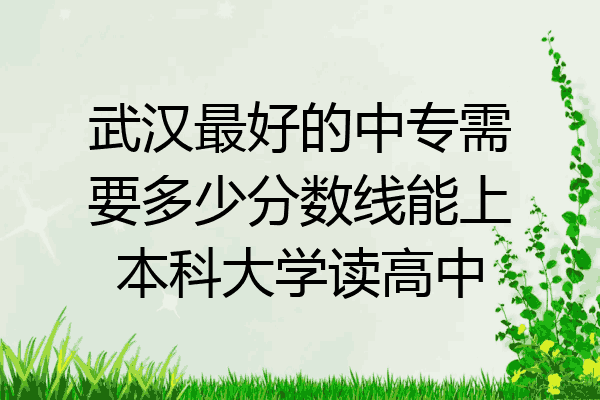 武汉最好的中专需要多少分数线能上本科大学读高中