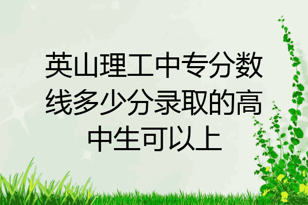 英山理工中专分数线多少分录取的高中生可以上