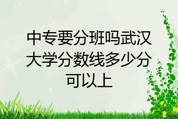 中专要分班吗武汉大学分数线多少分可以上