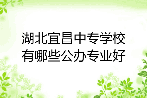 湖北宜昌中专学校有哪些公办专业好