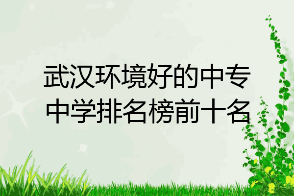 武汉环境好的中专中学排名榜前十名