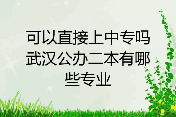 可以直接上中专吗武汉公办二本有哪些专业