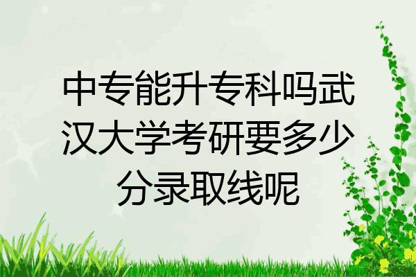中专能升专科吗武汉大学考研要多少分录取线呢
