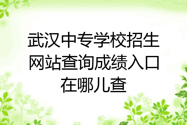 武汉中专学校招生网站查询成绩入口在哪儿查