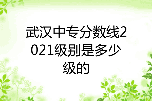 武汉中专分数线2021级别是多少级的