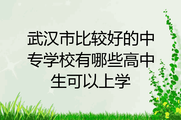 武汉市比较好的中专学校有哪些高中生可以上学