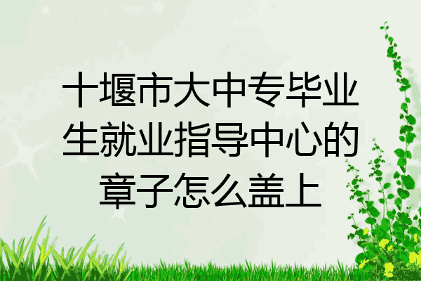 十堰市大中专毕业生就业指导中心的章子怎么盖上