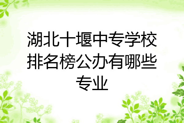 湖北十堰中专学校排名榜公办有哪些专业