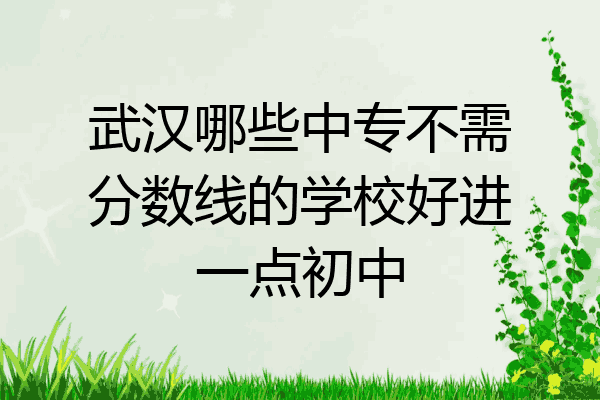武汉哪些中专不需分数线的学校好进一点初中
