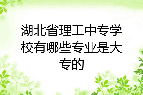 湖北省理工中专学校有哪些专业是大专的