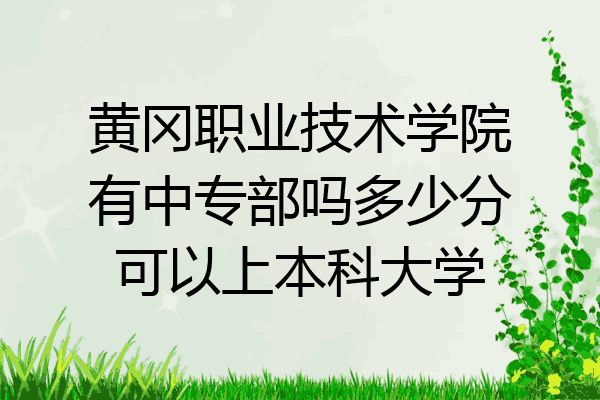 黄冈职业技术学院有中专部吗多少分可以上本科大学