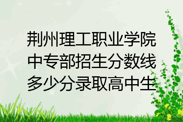 荆州理工职业学院中专部招生分数线多少分录取高中生